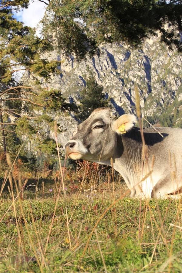 Agriturismo Maso Santa Libera テーゼロ エクステリア 写真